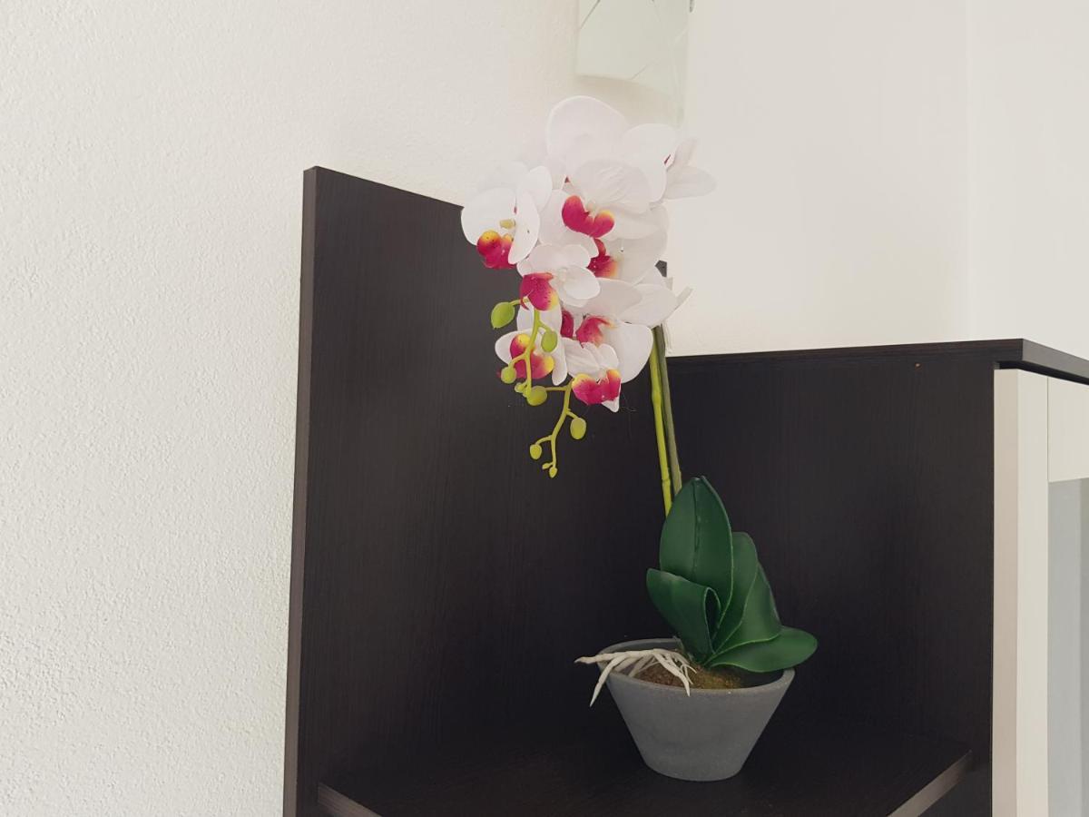 Apartman Mia With Pool1 Split Zewnętrze zdjęcie